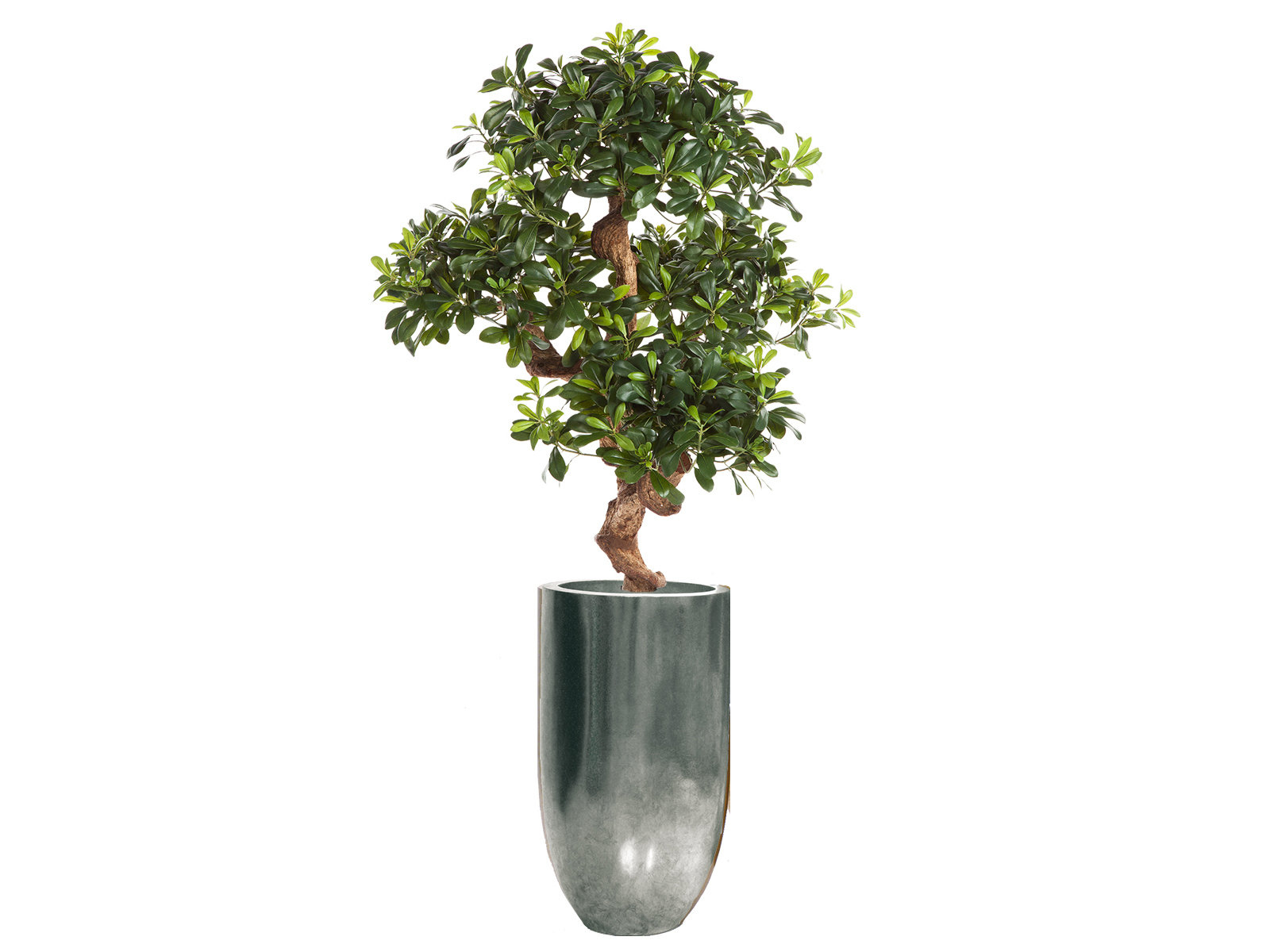Kunstpflanze Pittstorum 120 cm ohne Topf