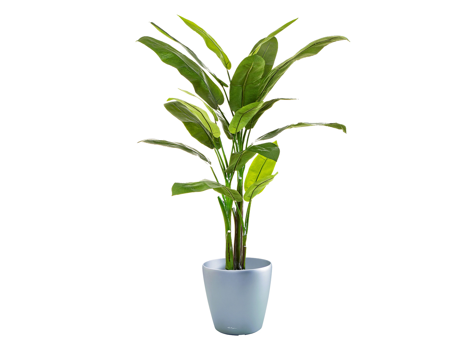 Kunstpflanze Heliconia 170 cm ohne Topf