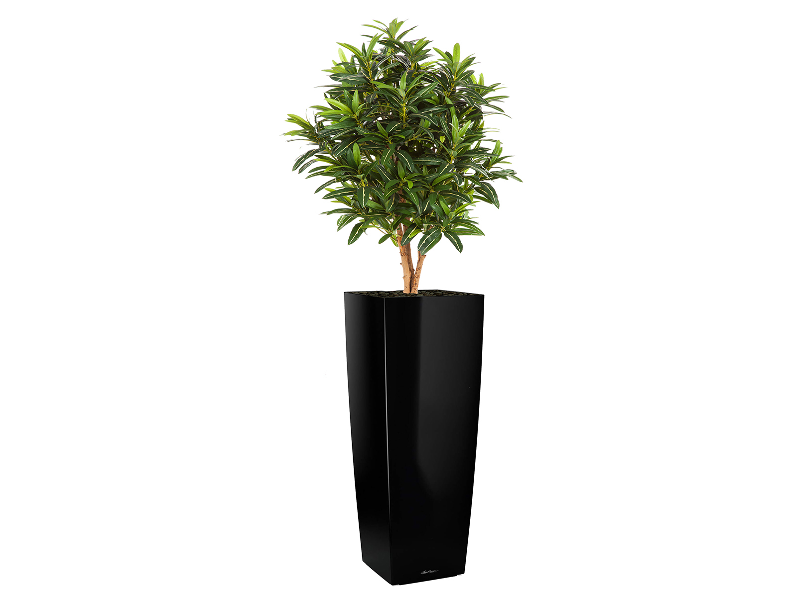 Kunstpflanze Croton 105 cm ohne Topf