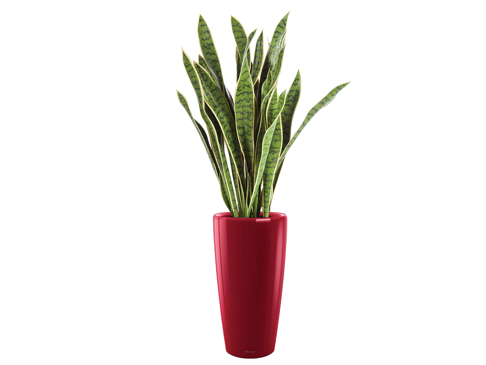 Kunstpflanze Sanseveria 80 cm ohne Topf