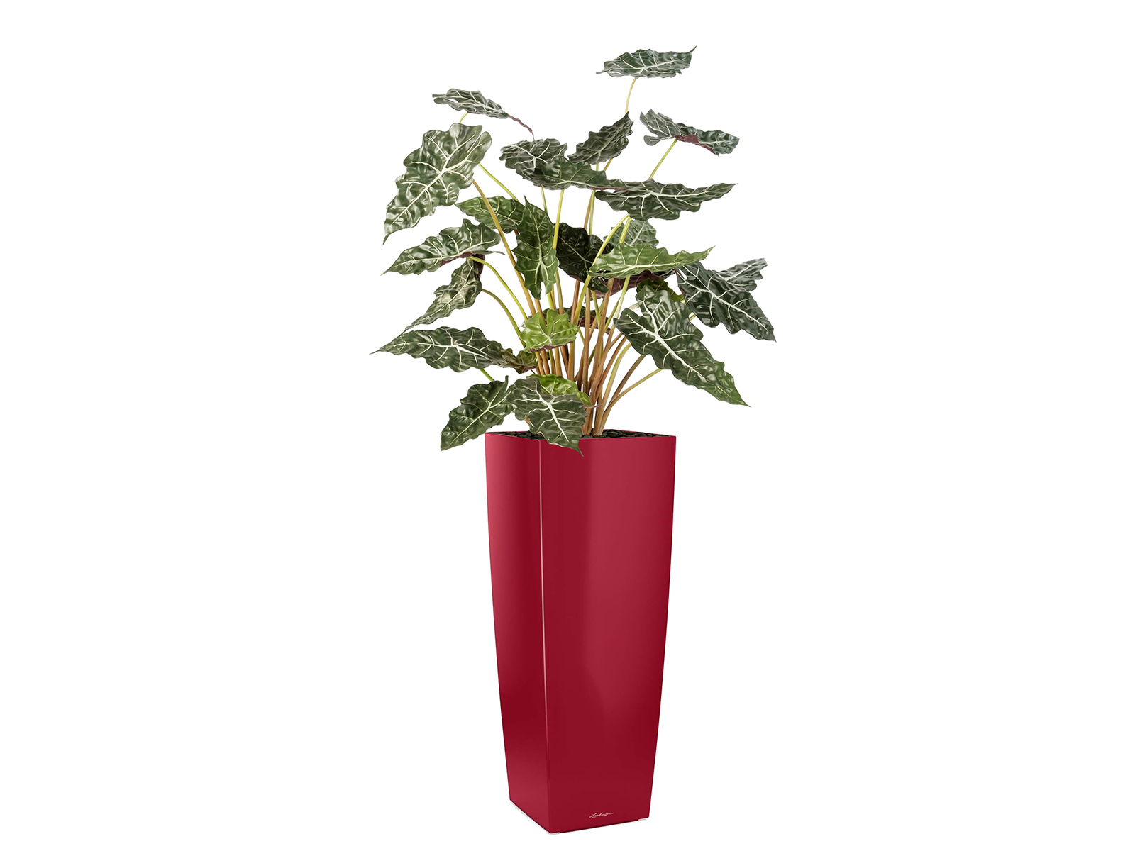 Kunstpflanze Alocasia 110 cm ohne Topf