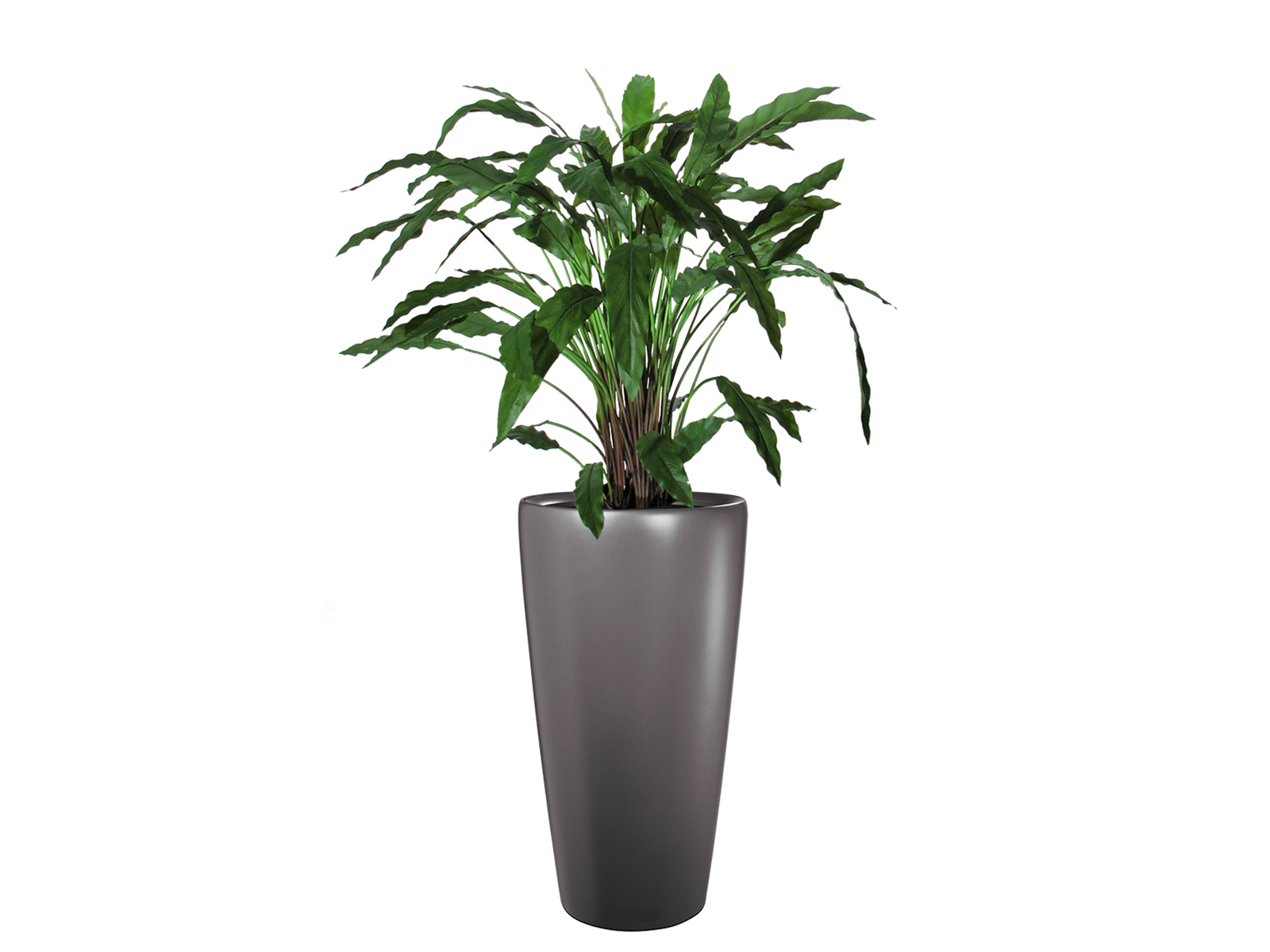 Kunstpflanze Calathea 85 cm ohne Topf