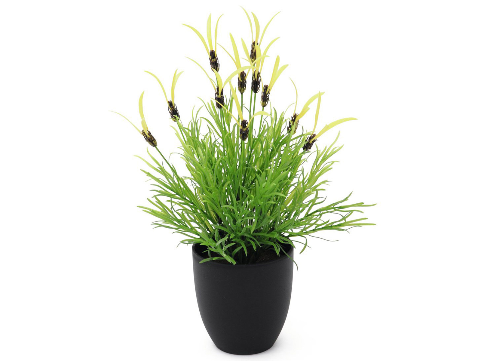 Kunstpflanze Federlattich 40cm