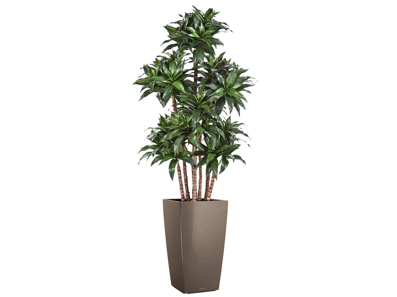 Kunstpflanze Dracena 120 cm ohne Topf