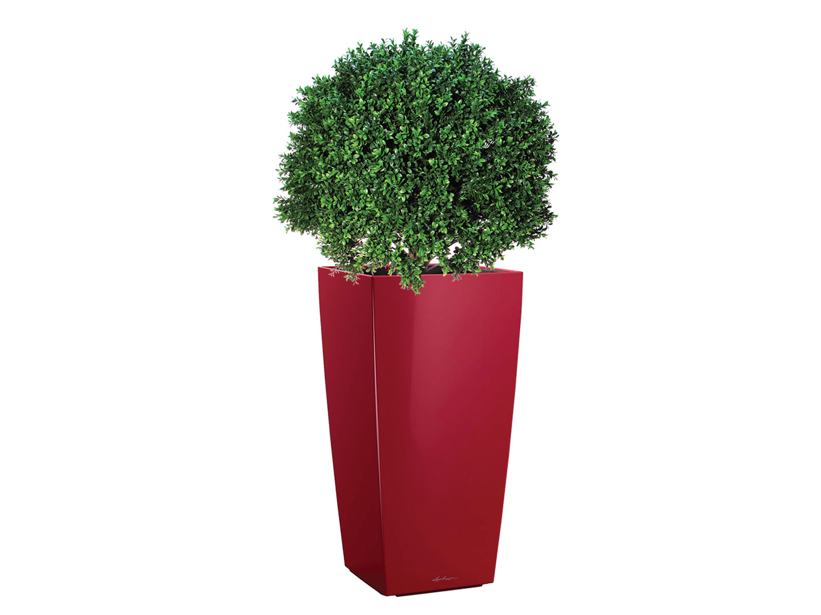 Kunstpflanze Buchsbaum 65 cm ohne Topf
