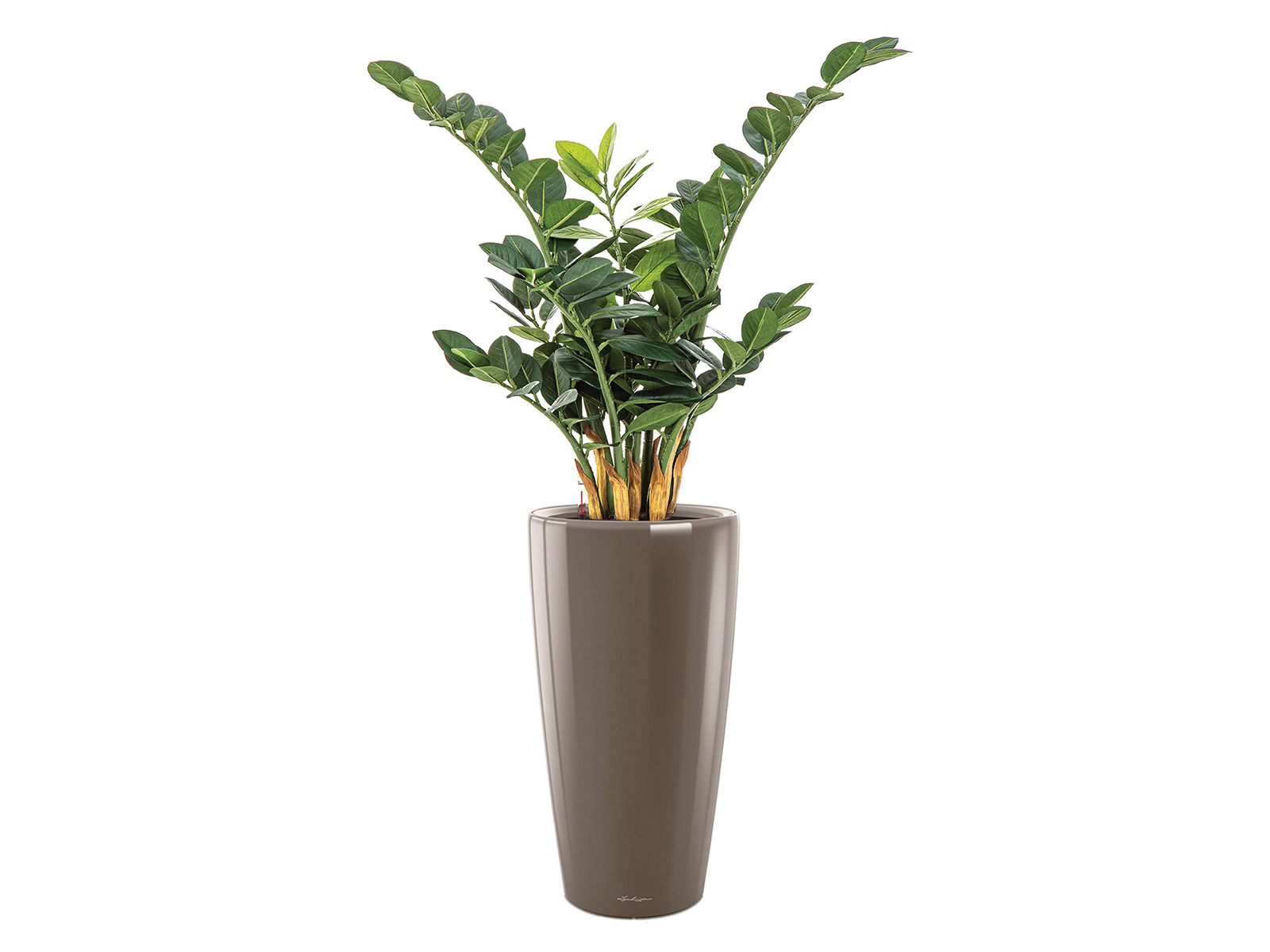 Kunstpflanze Smaragd 65 cm ohne Topf